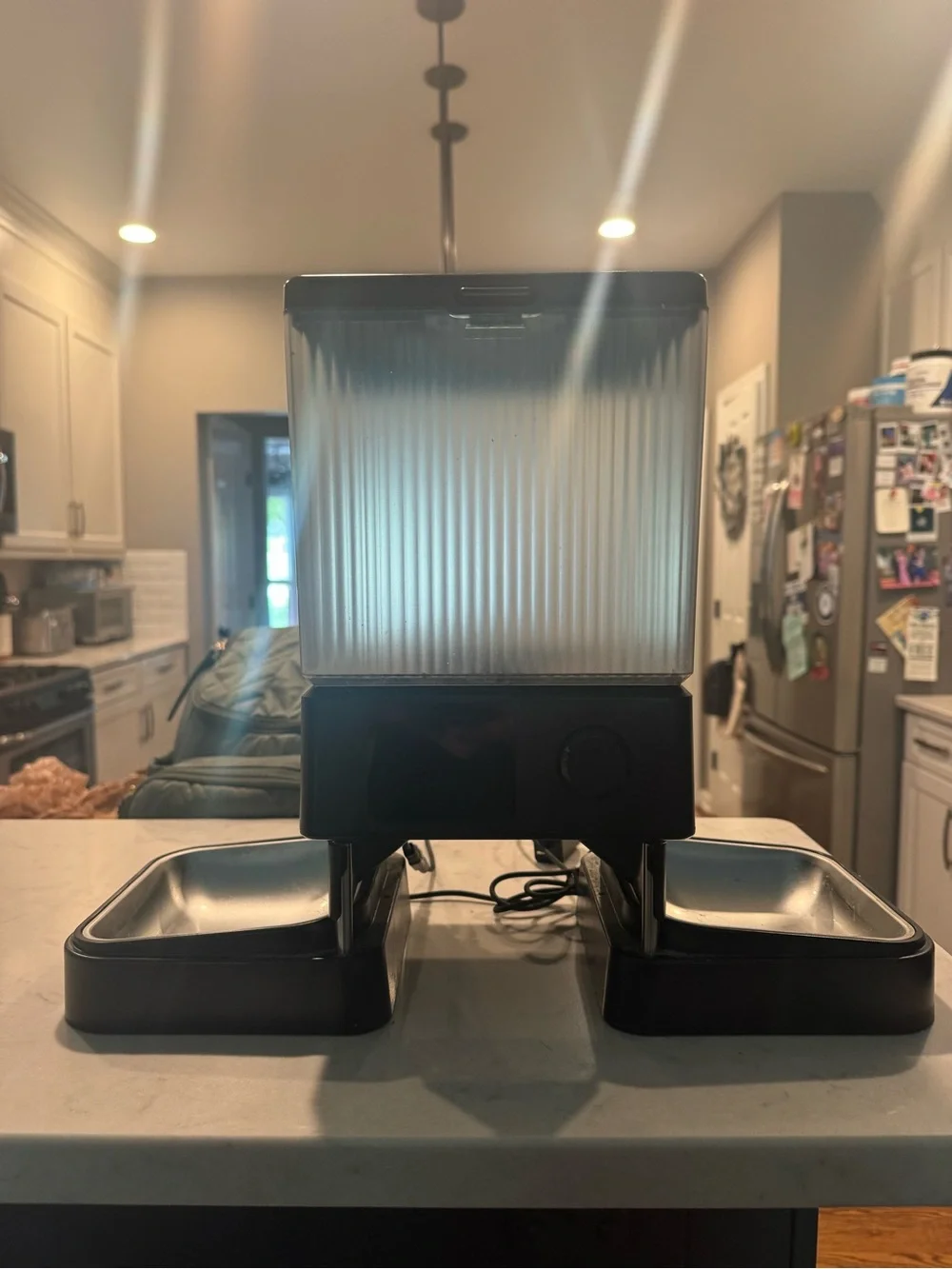 Automatic Dual Cat Feeder with Clear Food Hopper - Black